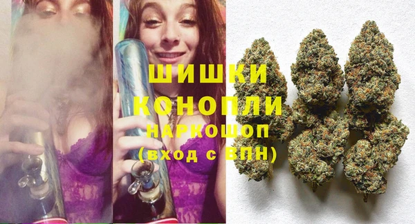 бошки Аркадак