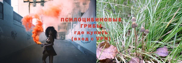 бошки Аркадак