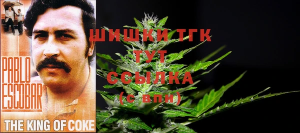 бошки Аркадак