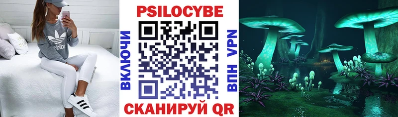 Псилоцибиновые грибы прущие грибы  Ирбит 